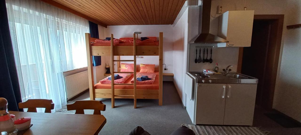 Studio Hochzillertal Mit Sauna & E-Ladestation Apartment Ried im Zillertal Exterior foto