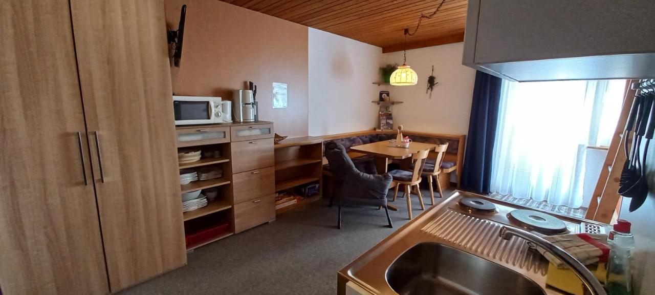 Studio Hochzillertal Mit Sauna & E-Ladestation Apartment Ried im Zillertal Exterior foto